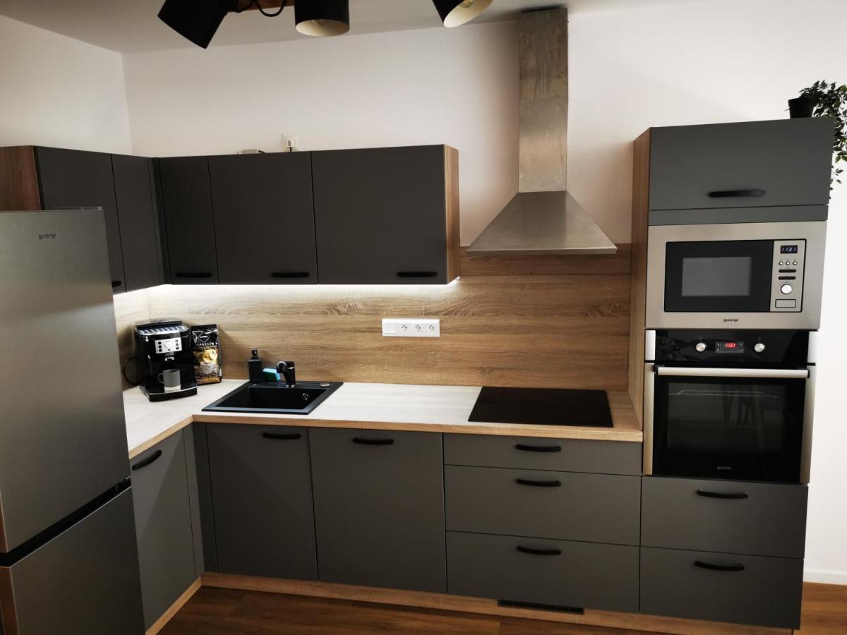 Apartman Mlynska Strouha Plzen Exterior photo